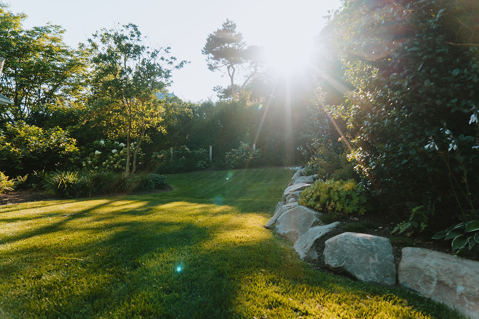 Morning light across a lawn with boulders and meadow beyond, Rhode Island