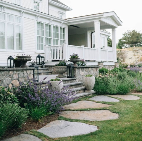 Nepeta and stone steps at the porch