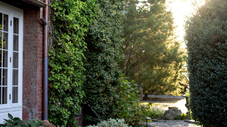 Cobble Court — cobblestone path along ivy brick house — O'Connor Design Build
