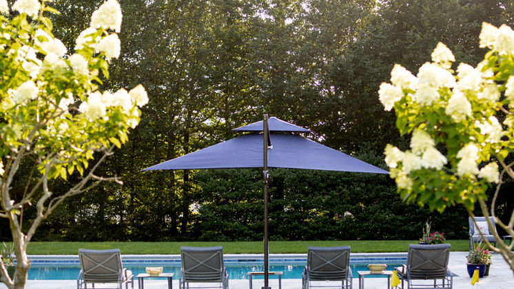 Putting Green Pool — pool hydrangea trees — O'Connor Design Build