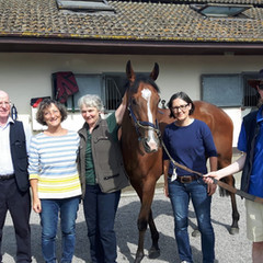 Visiting My Snowdrop at John Oxxs Racing Yard