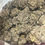Thumbnail: White Truffle Belief