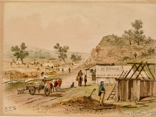 THE AUSTRALIAN GOLD RUSH