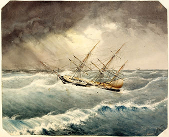 Stag in big seas.jpeg