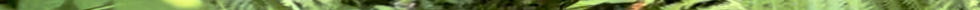 IMG_1216.PNG