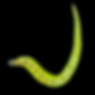 anonyous profile.jpg