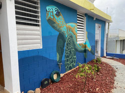 turtle mural
