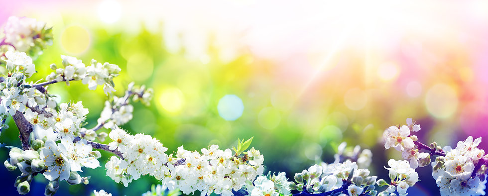 AdobeStock_253524385.jpeg
