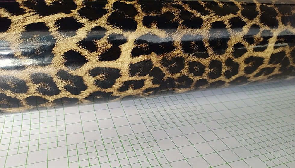Piel De Leopardo 1.52m X 1m