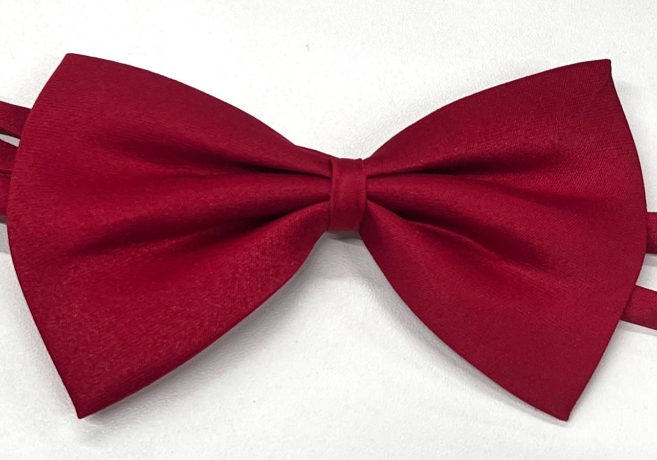 Bow Tie 12pcs