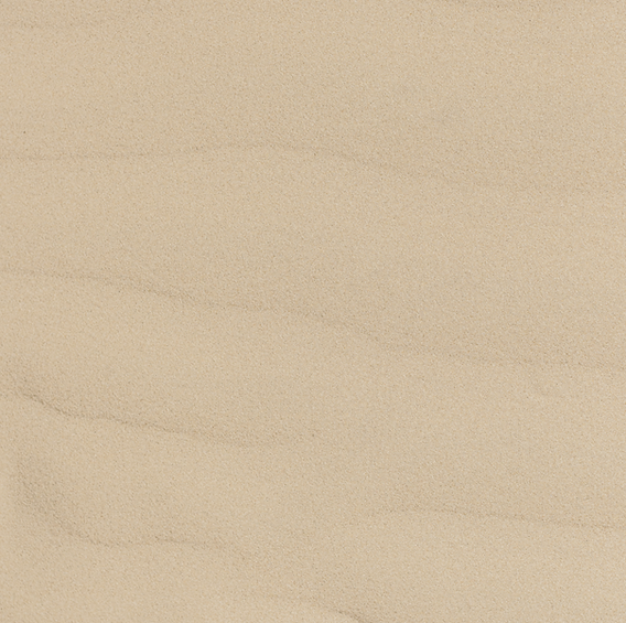novo fundo pedro_edited_edited.png