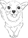 chiuhauha.png