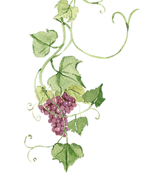 ramos uva 3_edited.png