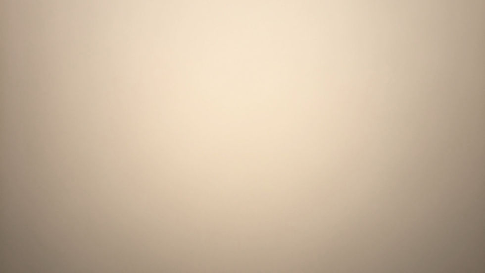 fundo champagne_edited.jpg
