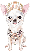 chiwawa.png