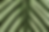 .png
