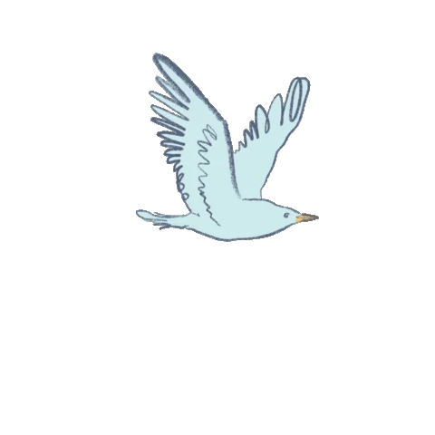 ZAoThZZXEoJAnxMVI1.webp