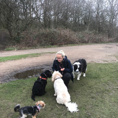 bella comet fibi hugo me treats sit.JPEG