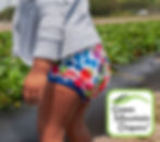 GMD Photo of CD Cover