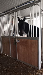 aluminum penning at auction ring