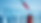 THE DRIP LOGO (1920 x 1080 px) (5).png
