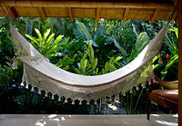 Hammock.jpeg