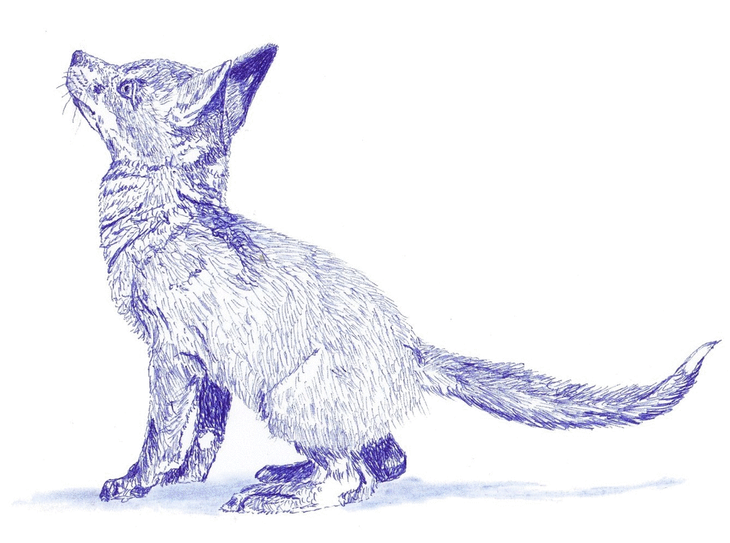 animiertes-gif-von-online-umwandeln-de (1).gif