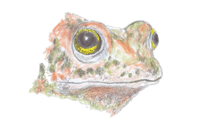 animiertes-gif-von-online-umwandeln-de (83).gif