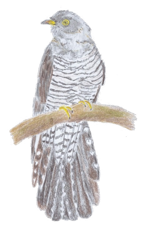 animiertes-gif-von-online-umwandeln-de (84).gif