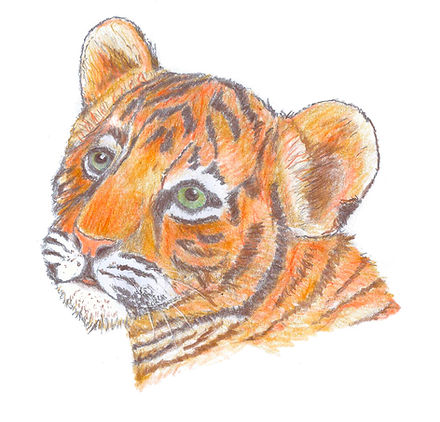 tigerkind_edited.jpg
