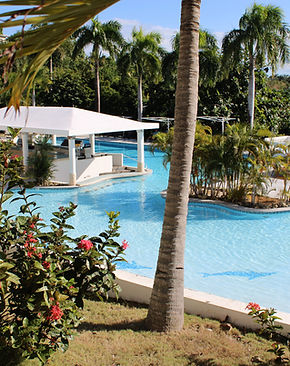 Tropical resort pool with swim-up bar