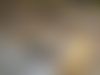 SEASON 13, EPISODE 17, “THE MISSING LINKS” EPISODE ANALYSIS BY DANIEL SPINO