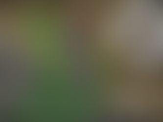 SEASON 13, EPISODE 10, “BOULDER AND WISER” EPISODE ANALYSIS 