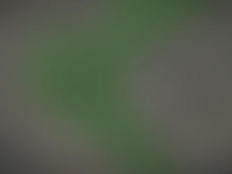 SEASON 13, EPISODE 8, “INTO THE FOLD” EPISODE ANALYSIS