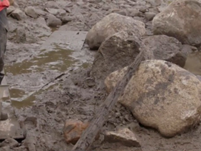 SEASON 11, EPISODE 13, “TEA TIME” ARTIFACT AND FEATURE ANALYSIS