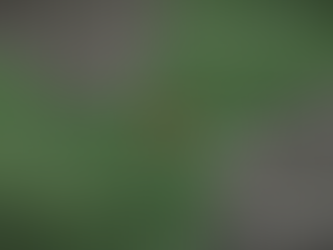 SEASON 13, EPISODE 6, “THE HEAT IS ON” EPISODE ANALYSIS