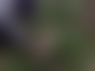 “THE MYSTERY OF THE 90 FOOT STONE", Part One.