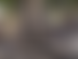 SEASON 13, EPISODE 4, “THE SMOKING GUN” EPISODE ANALYSIS