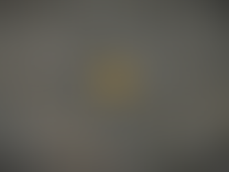 SEASON 13, EPISODE 16, “RAISING THE STAKES” EPISODE ANALYSIS