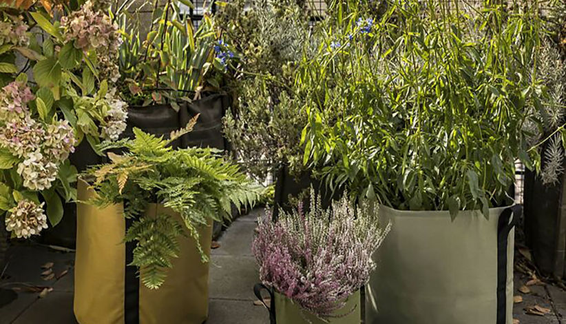 HOME | BACSAC(バックサック)公式サイト