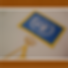 Team United Nations Flag