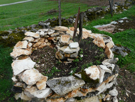P1100154.JPG