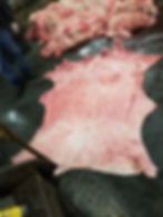 Sow Skin Raw Leather