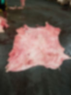 Raw Sow Skin Leather