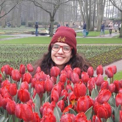 eu flores