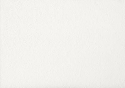paper white lansdcape.jpg
