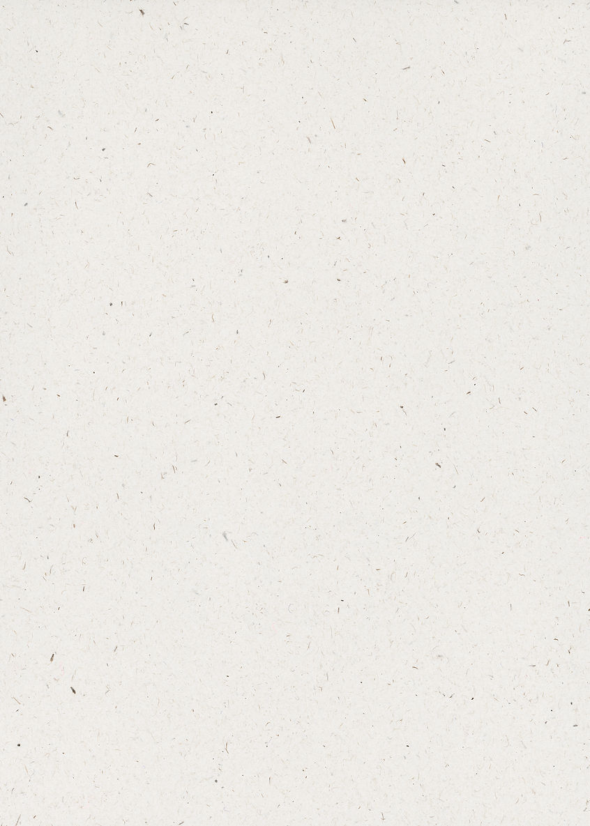 07-Neutral-Paper-Texture-Background-dinoredesign.jpg
