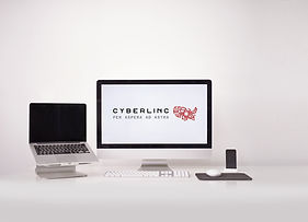 Computer Screens_edited.jpg