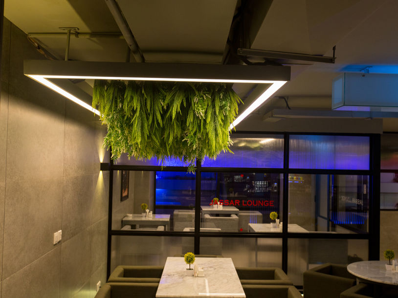 SJM Photos - ORAD -31.jpg