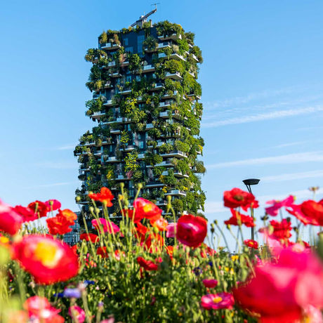 The Rise of Biophilic Design: Integrating Nature into Urban Spaces